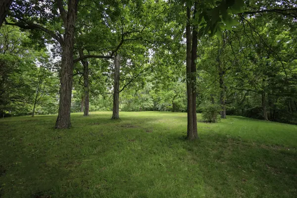 410 N Kruse RD, Mt. Zion, IL 62549