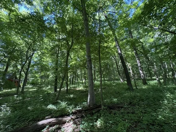 15 Navajo CT, Putnam, IL 61560