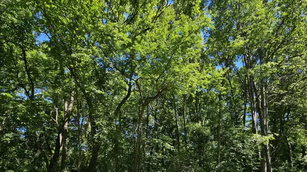 15 Navajo CT, Putnam, IL 61560