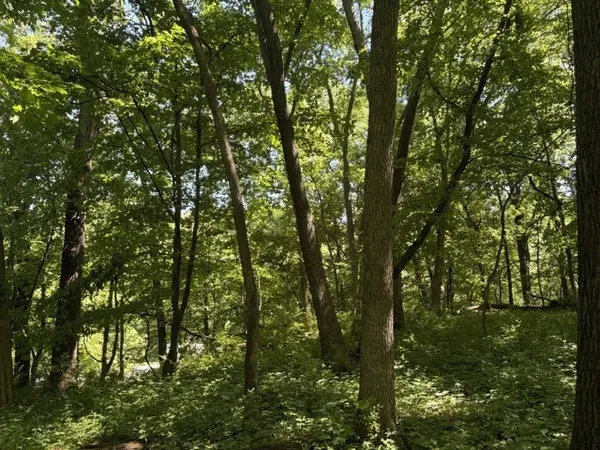 15 Navajo CT, Putnam, IL 61560