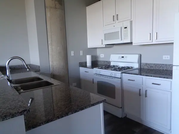 1550 S Blue Island AVE #808, Chicago, IL 60608