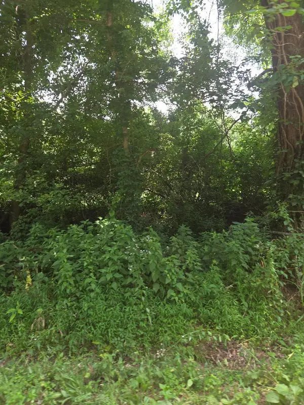 206 Old Villa Ridge RD, Mounds, IL 62964