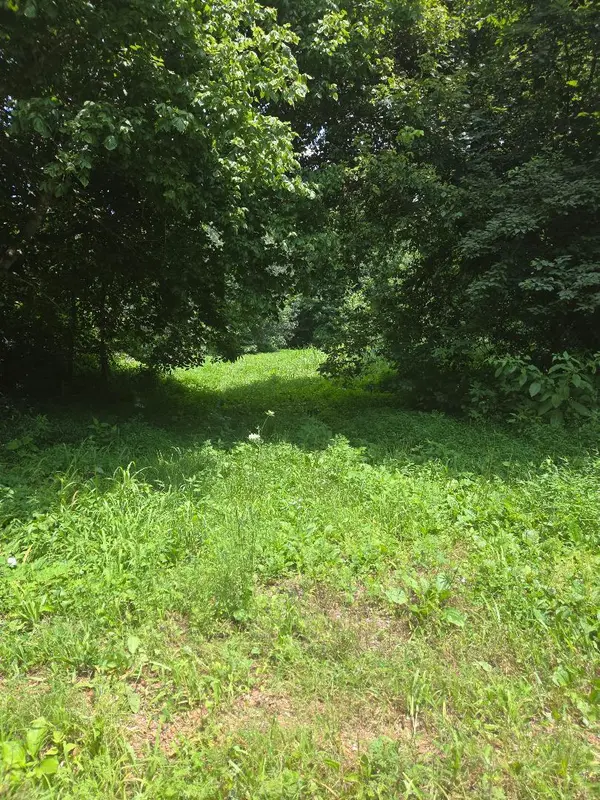 206 Old Villa Ridge RD, Mounds, IL 62964