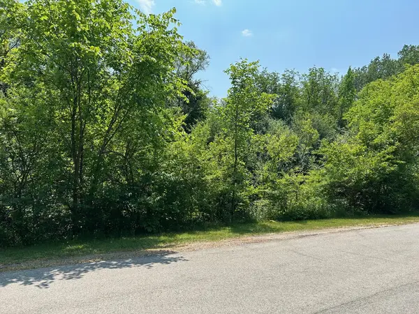 Lot Foster AVE, Roselle, IL 60172