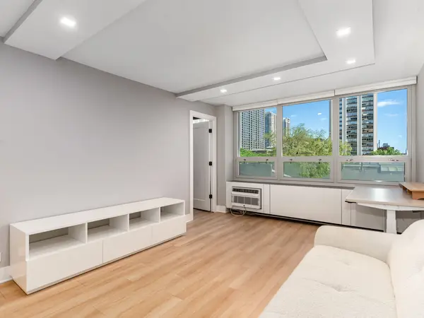 88 W Schiller ST #303L, Chicago, IL 60610