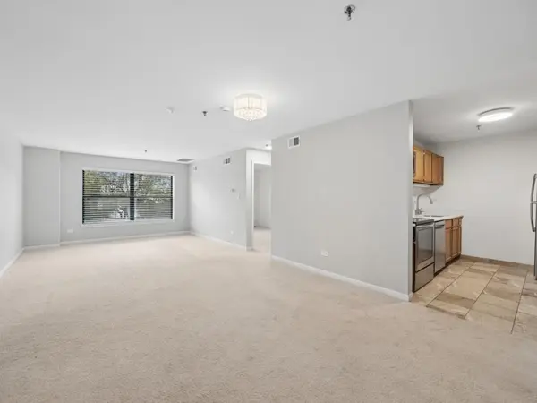 3265 Kirchoff RD #217, Rolling Meadows, IL 60008