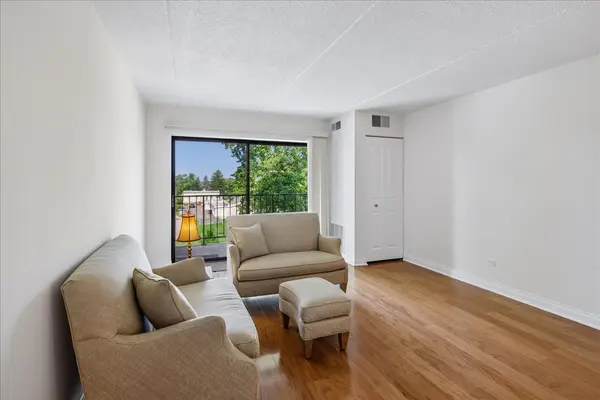 7707 W Irving Park RD #308, Chicago, IL 60634