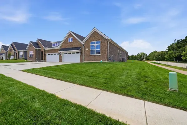 16590 Kayla DR, Lemont, IL 60439