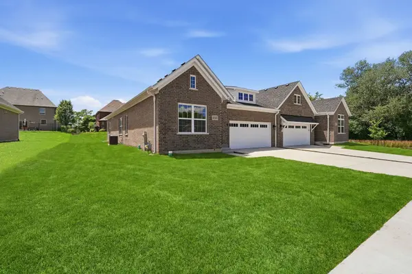 16580 Kayla DR, Lemont, IL 60439