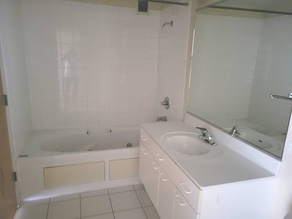 1845 S Michigan AVE #1107, Chicago, IL 60616