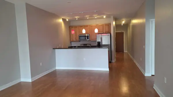 1235 S Prairie AVE #1106, Chicago, IL 60605