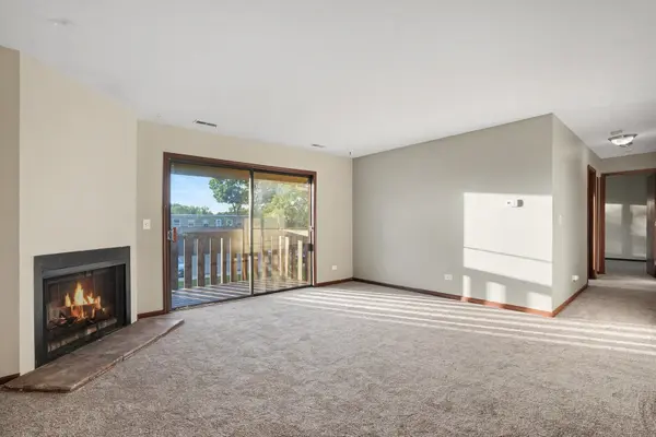 219 Uteg ST #E, Crystal Lake, IL 60014