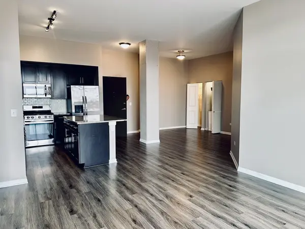 2300 S Michigan AVE #513, Chicago, IL 60616