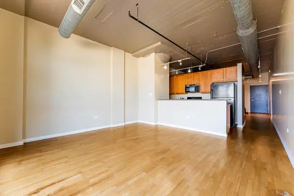 1550 S Blue Island AVE #613, Chicago, IL 60608