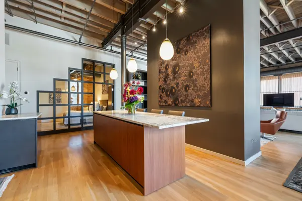 420 W Grand AVE #5D, Chicago, IL 60654