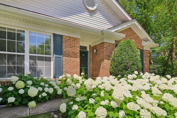 13322 S Bayberry LN, Plainfield, IL 60544
