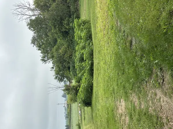 118 O'Brian ST, Goose Lake, IA 52750