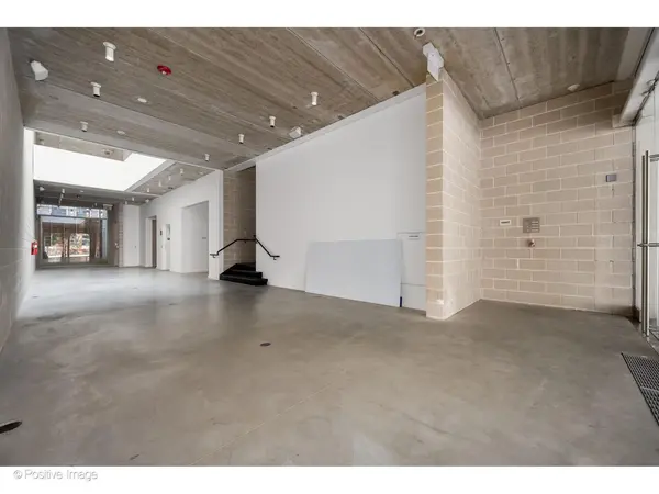1704 N Damen AVE, Chicago, IL 60647