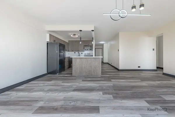 7337 S South Shore DR #1231, Chicago, IL 60649
