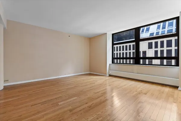 680 N Lake Shore DR #313, Chicago, IL 60611