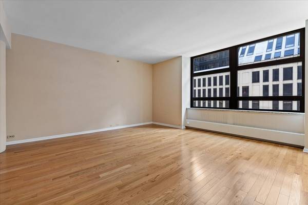 680 N Lake Shore DR #313, Chicago, IL 60611