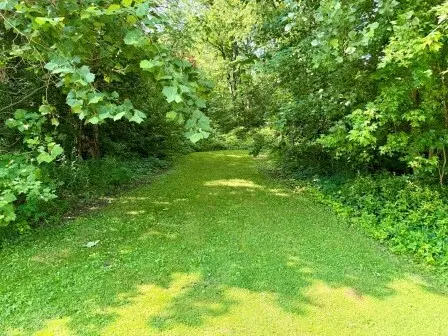 3011 N 15270e RD, Momence, IL 60954