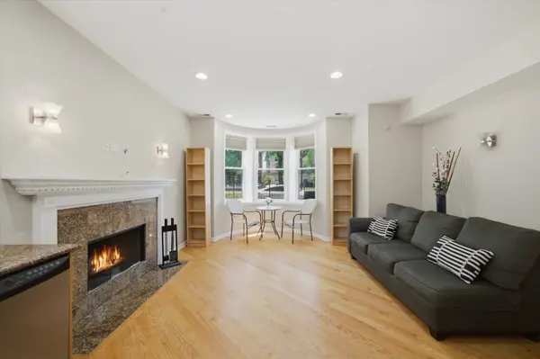 4921 S King DR #1S, Chicago, IL 60615
