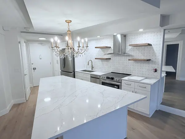 300 N STATE ST #4009, Chicago, IL 60654