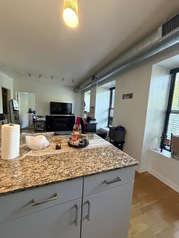 4537 S Drexel BLVD #203, Chicago, IL 60653
