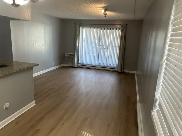 9128 W Terrace DR #1N, Niles, IL 60714