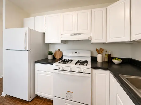 2605 S Indiana AVE #1404, Chicago, IL 60616