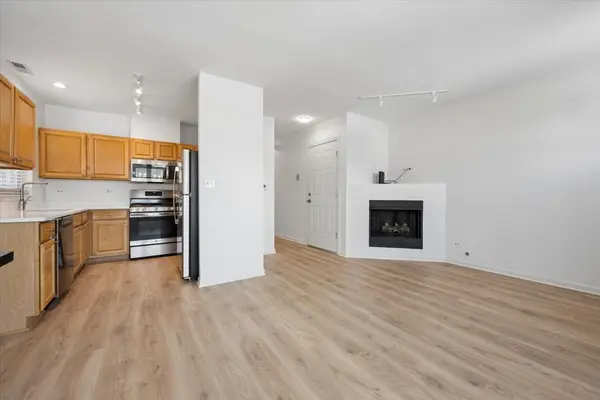 1341 N Halsted ST #3N, Chicago, IL 60642