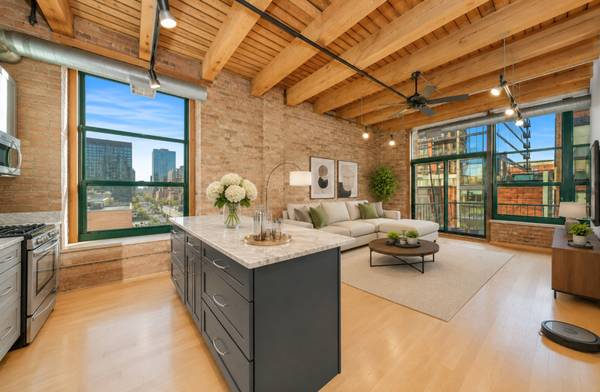 1133 S Wabash AVE #501, Chicago, IL 60605