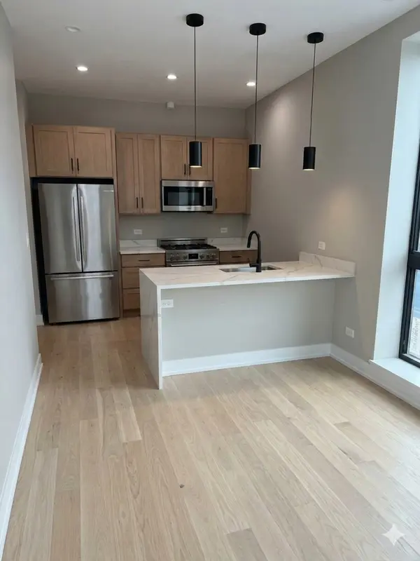 1073 W Polk ST #3, Chicago, IL 60607