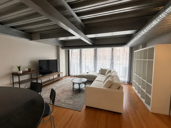 1910 S Indiana AVE #515, Chicago, IL 60616