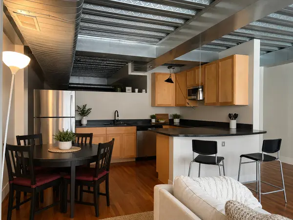 1910 S Indiana AVE #515, Chicago, IL 60616