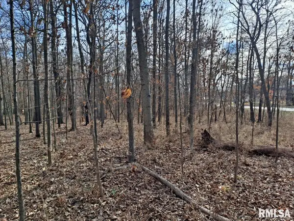 Lot 2 N 27TH ST, Mt Vernon, IL 62864