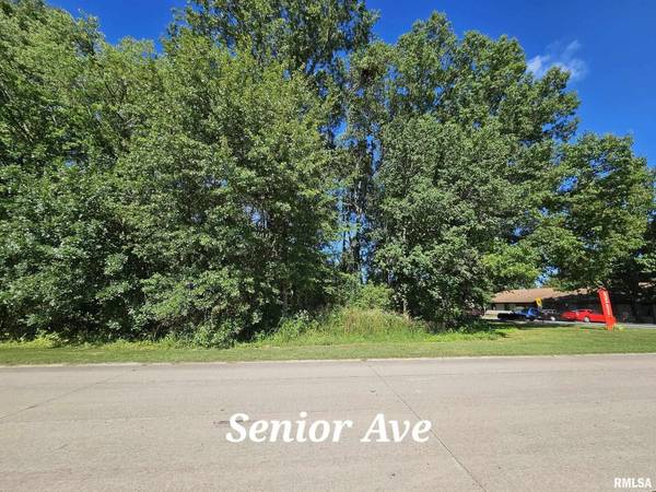 TBD Galeener ST, Vienna, IL 62995