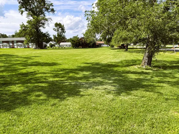 36 Buena Vista Terrace TER #P.O., Centralia, IL 62801