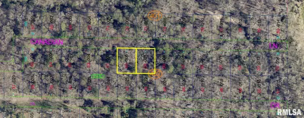 0000 MALLARD DR, IL 62918