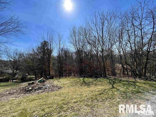001 Main ST, Dongola, IL 62926