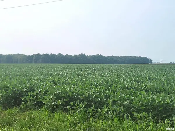 0 Gravel LN, Louisville, IL 62858