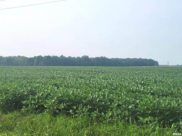 0 Gravel LN, Louisville, IL 62858
