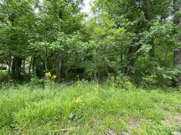 Lot 4 Choctaw DR, Carbondale, IL 62901