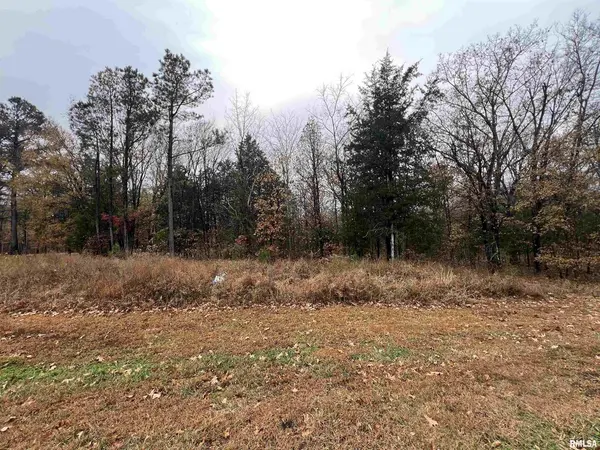 Lot 157 Parrish Ridge LN, Goreville, IL 62939