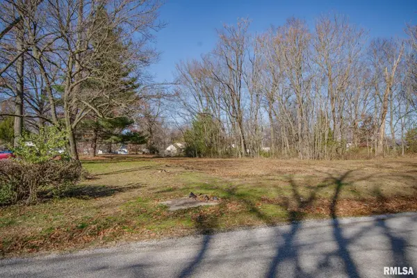 Lots OAK PARK RD, Salem, IL 62881
