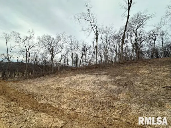Lot 1 225TH ST, De Witt, IA 52742