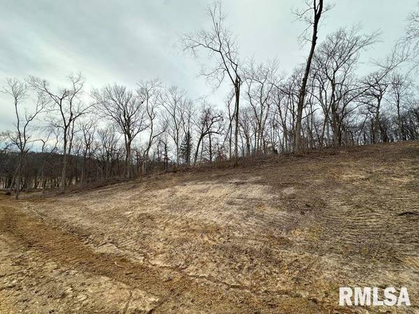Lot 1 225TH ST, De Witt, IA 52742