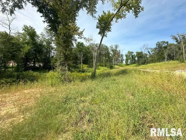 Lot 1 225TH ST, De Witt, IA 52742