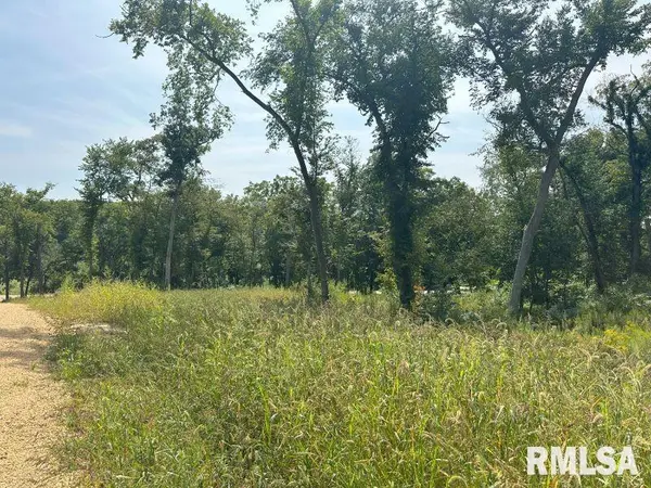 Lot 1 225TH ST, De Witt, IA 52742